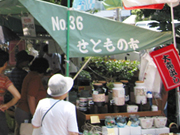せともの市